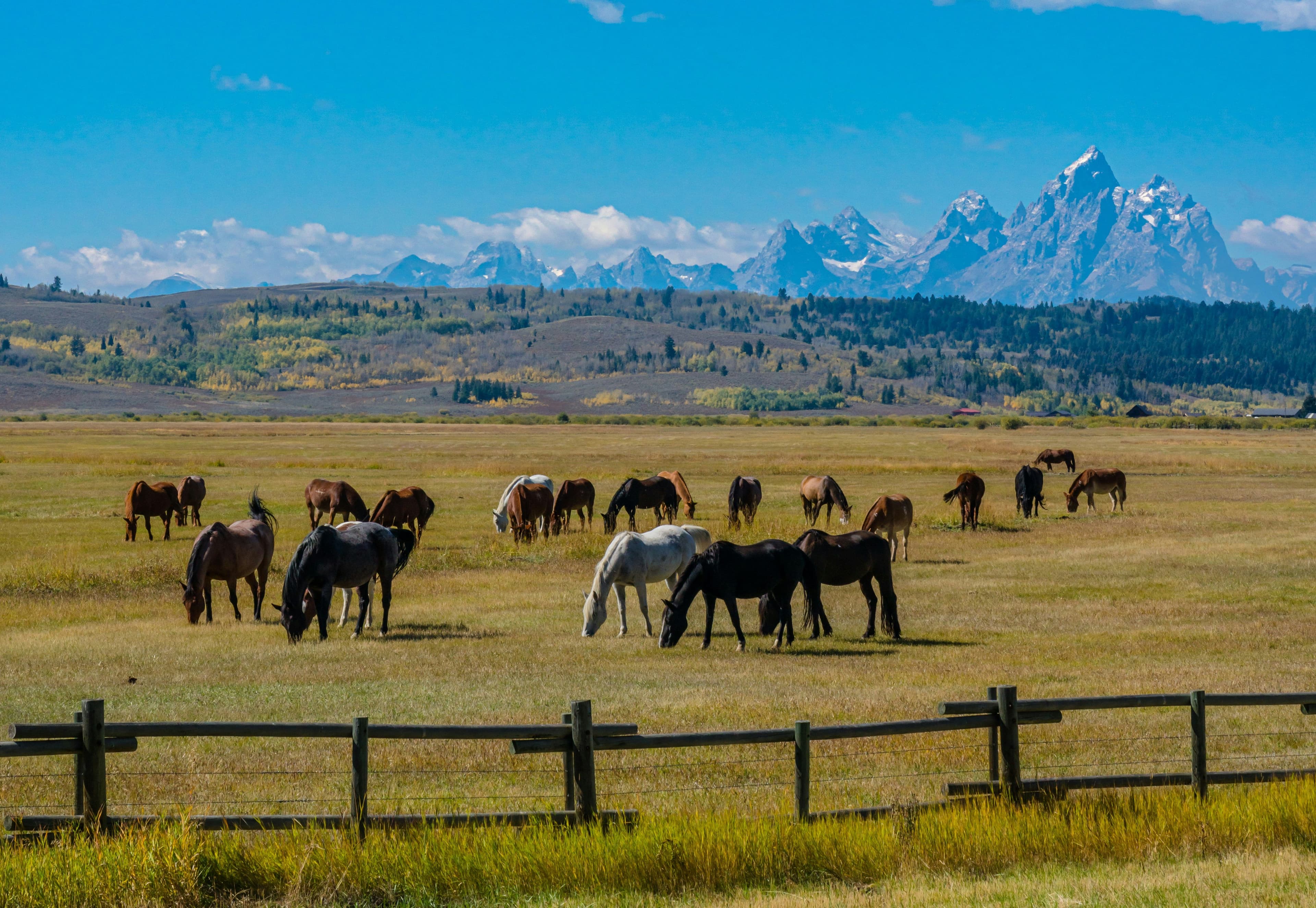 Introduction of Wyoming state