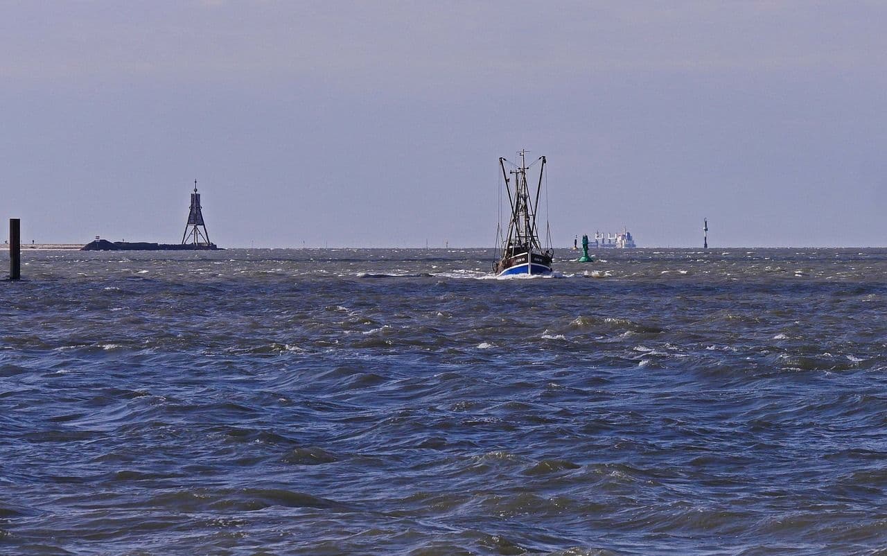 How the Tide Turns at the Mouth of the Elbe
